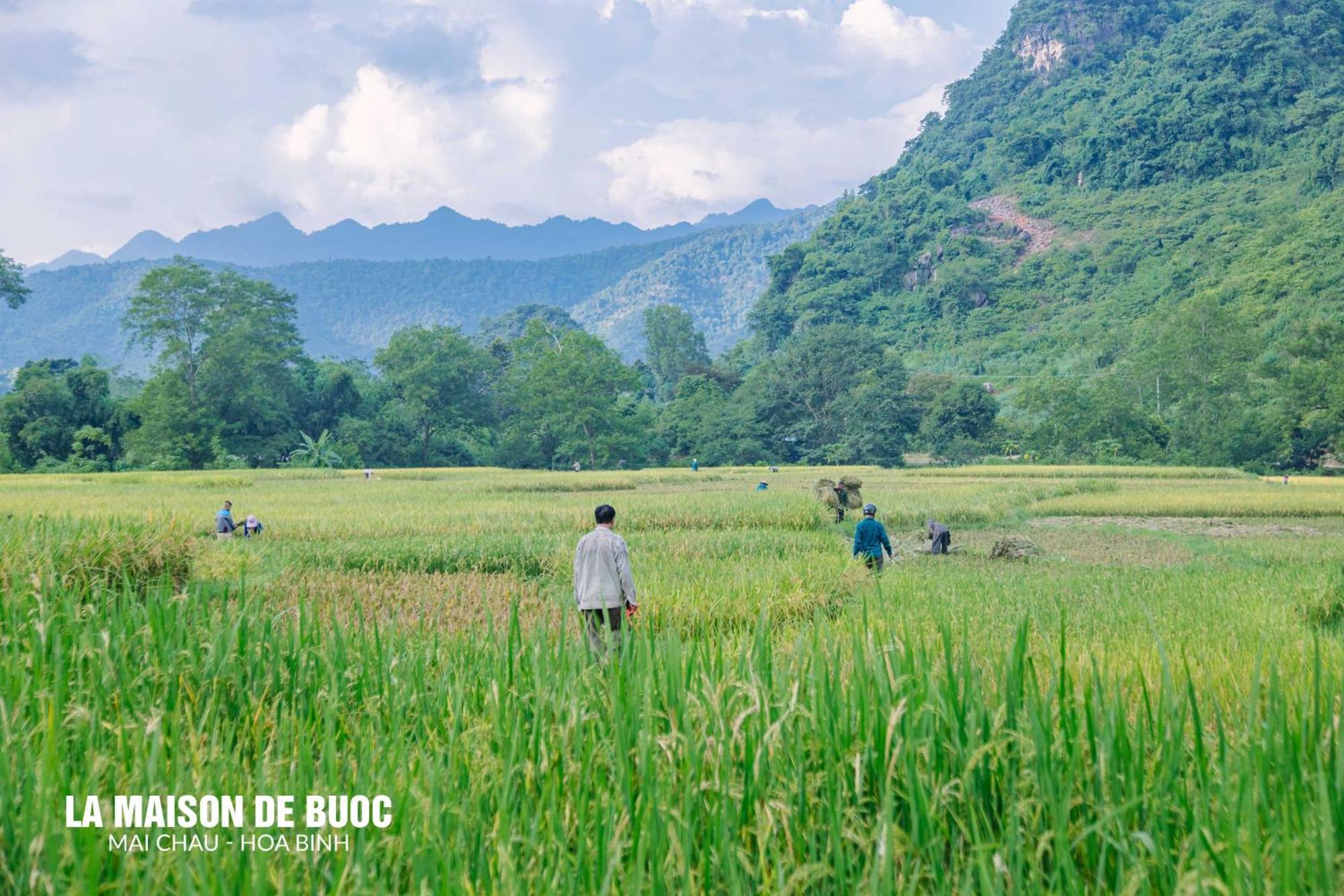 La Maison De Buoc Mai Châu Bagian luar foto