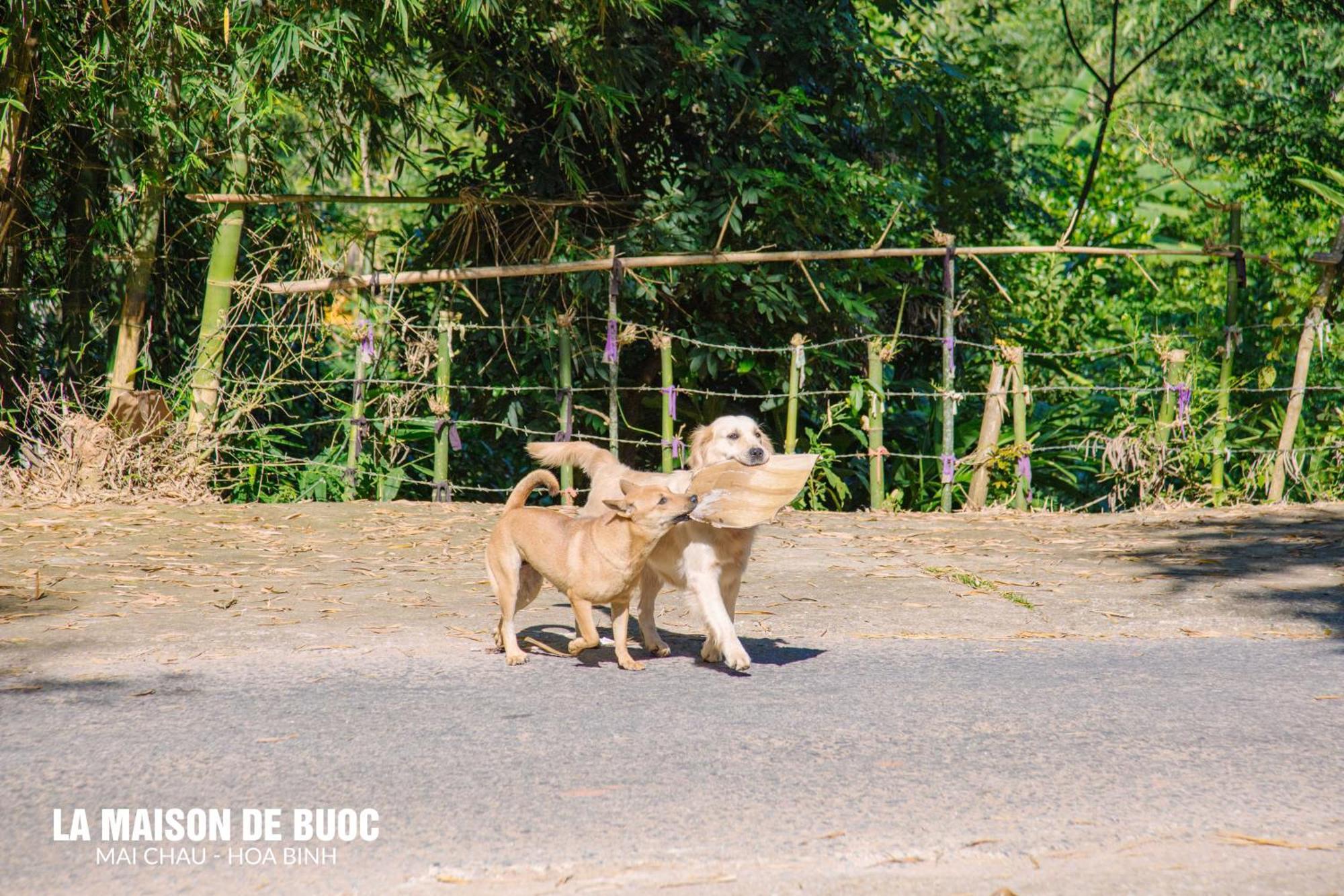 La Maison De Buoc Mai Châu Bagian luar foto