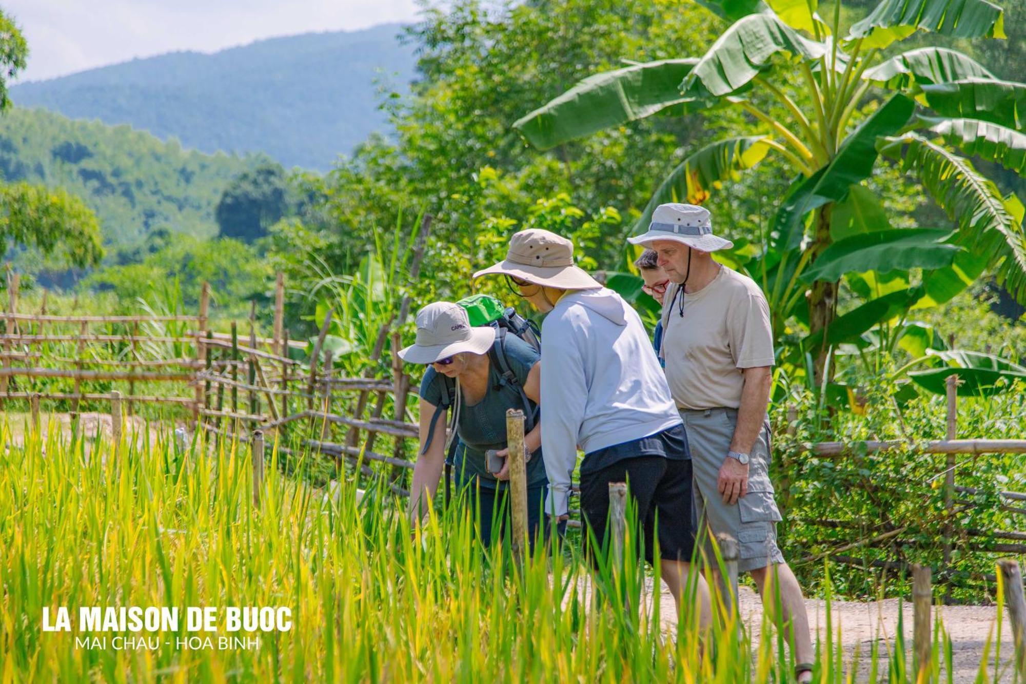 La Maison De Buoc Mai Châu Bagian luar foto